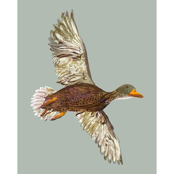 female mallard artwork in muted colors on a gray-green background