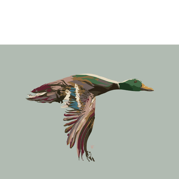 mallard duck drawing on a light sage green background