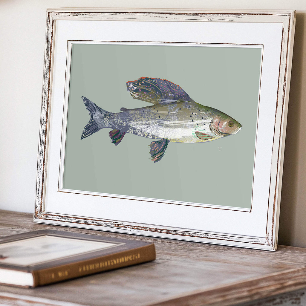 fly fishing art of an arctic grayling in a rustic wooden frame