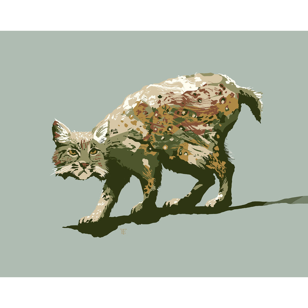 bobcart drawing in muted earth tones on a light gray-green background