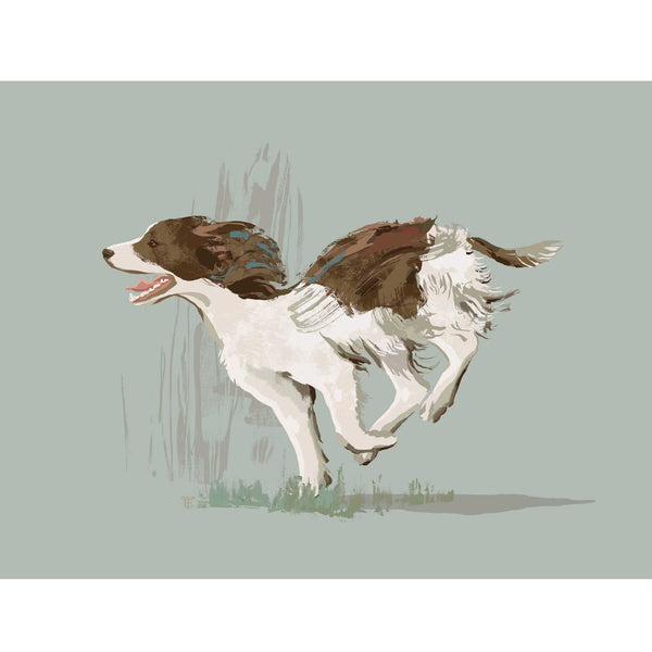 springer spaniel painting in a modern style with muted colors