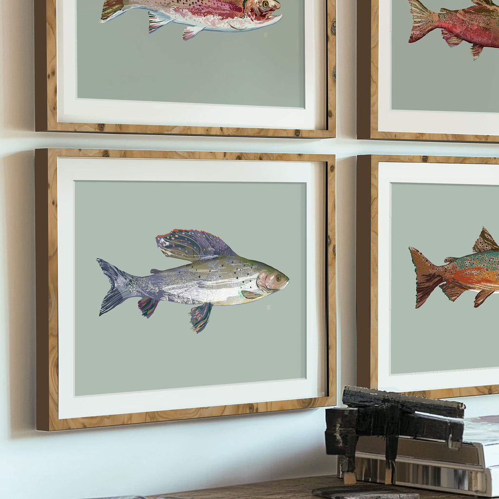 acrtic grayling framed print, part of a set of four fly fishing paintings