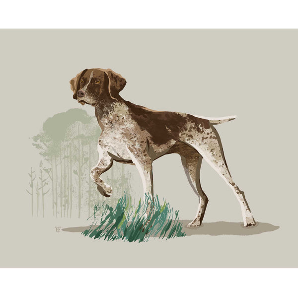 colorful drawing of a german shorthaired pointer in a pointing pose