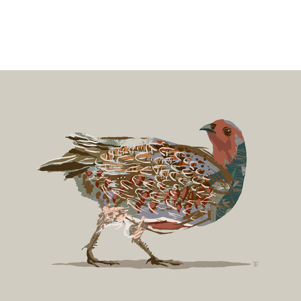 grey partridge ainting print in muted colors