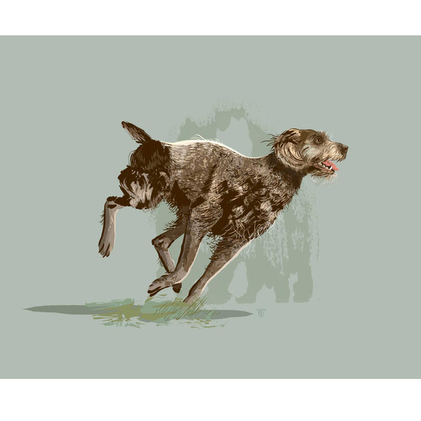 painting of a pointer griffon dog on a light sage green bacground