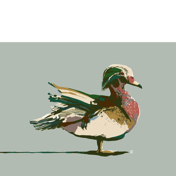 wood duck hunting artwork print