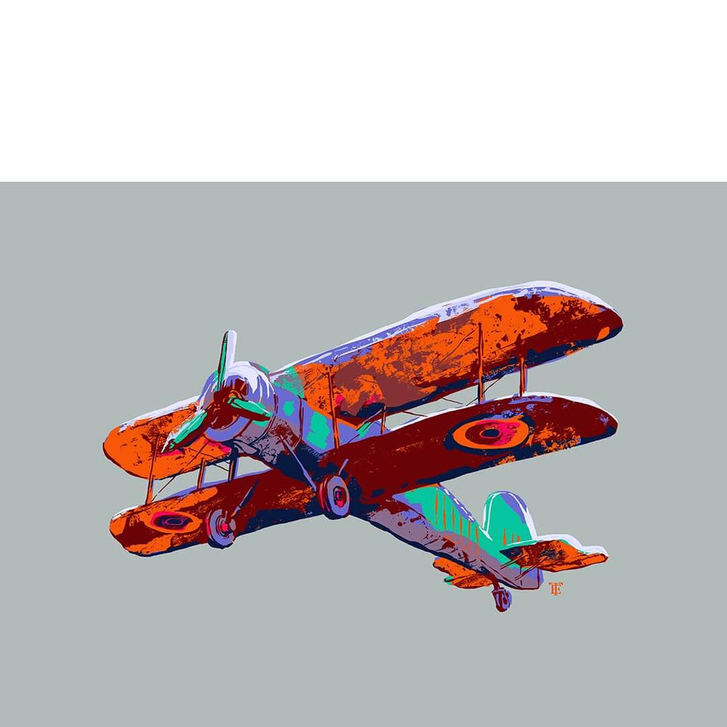 colorful biplane art print