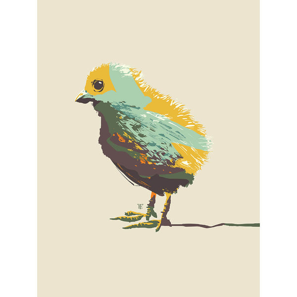 modern farmhouse baby chick art print - colorful
