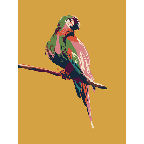 modern macaw parrot art print in yellow, pink, green, and navy