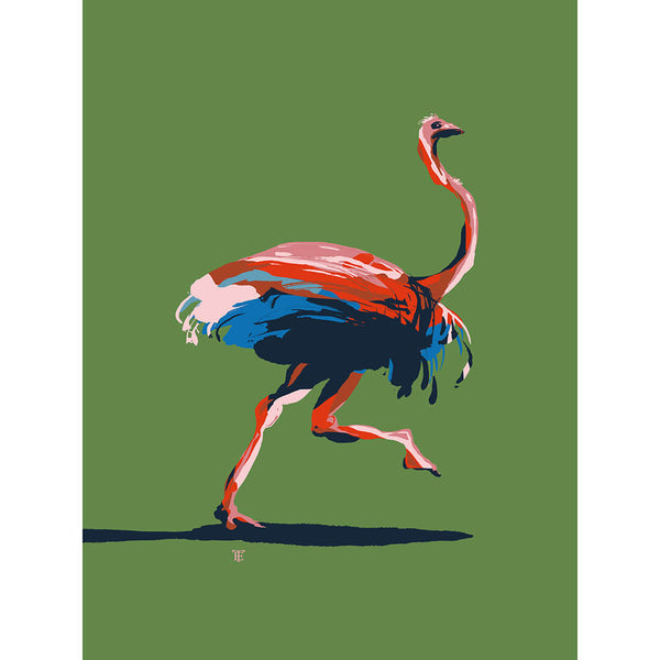 modern ostrich art print in bright green, blue, and red