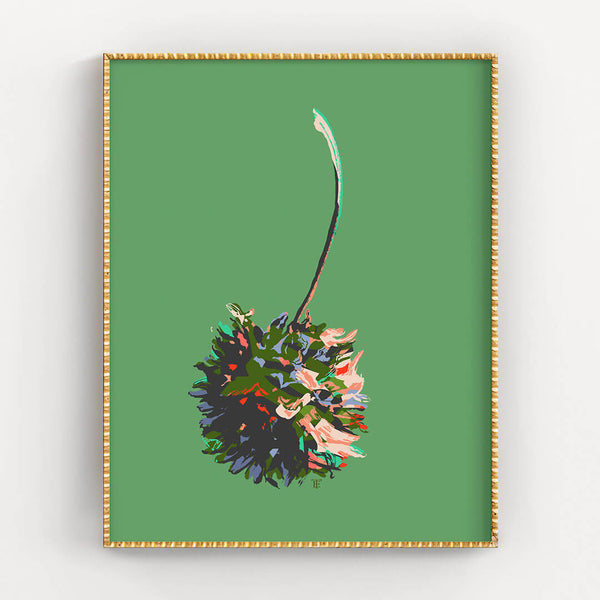 colorful sweetgum pod art print