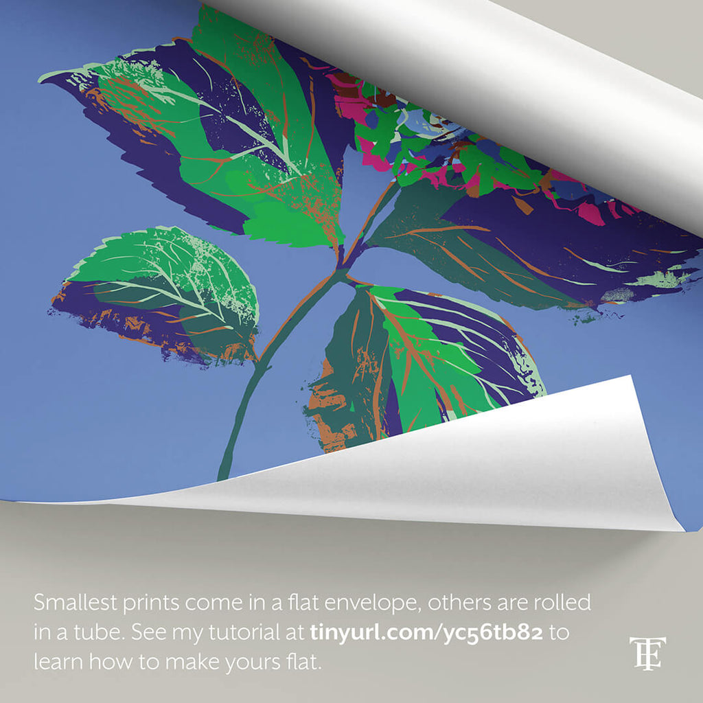 rolled hydrangea print