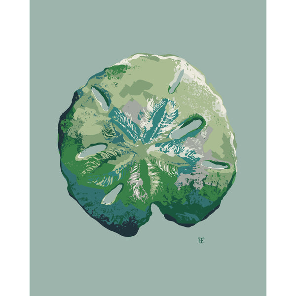 modern coastal sand dollar art print in greens