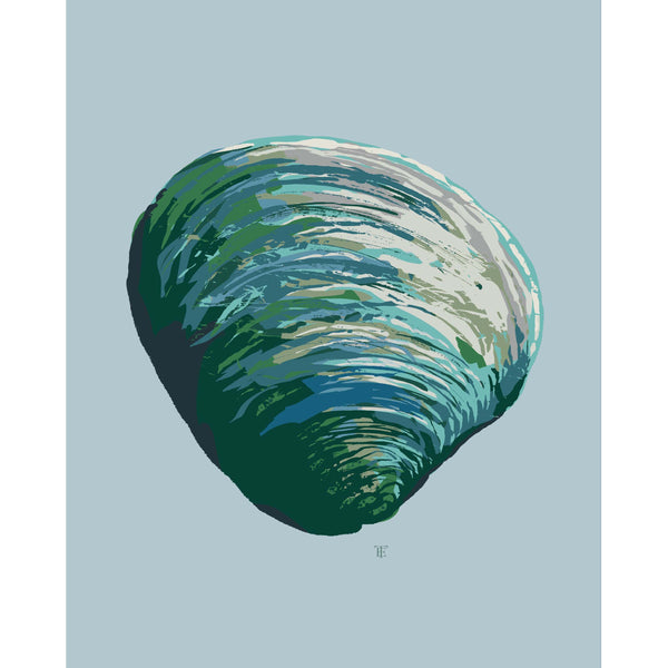 light blue clam shell art