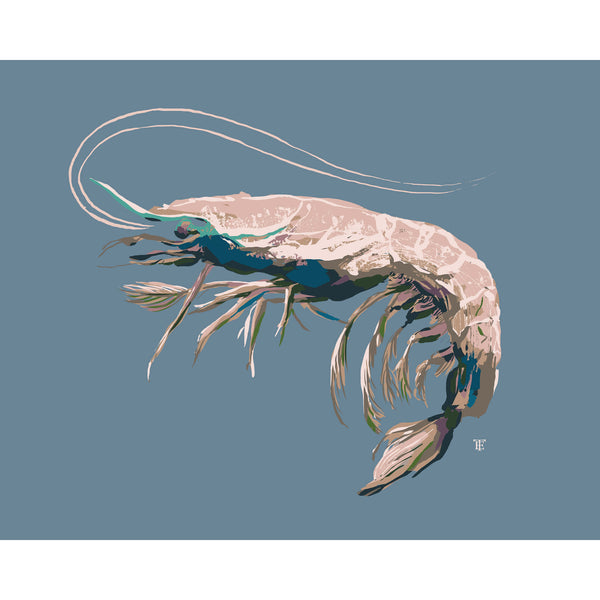 shrimp art in light blue and pink