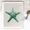 green starfish art print in  frame