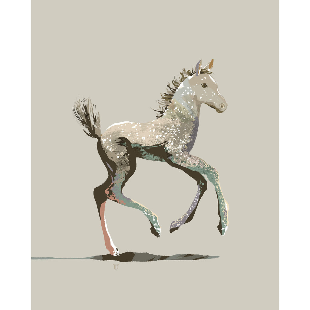 colt drawing on a beige background
