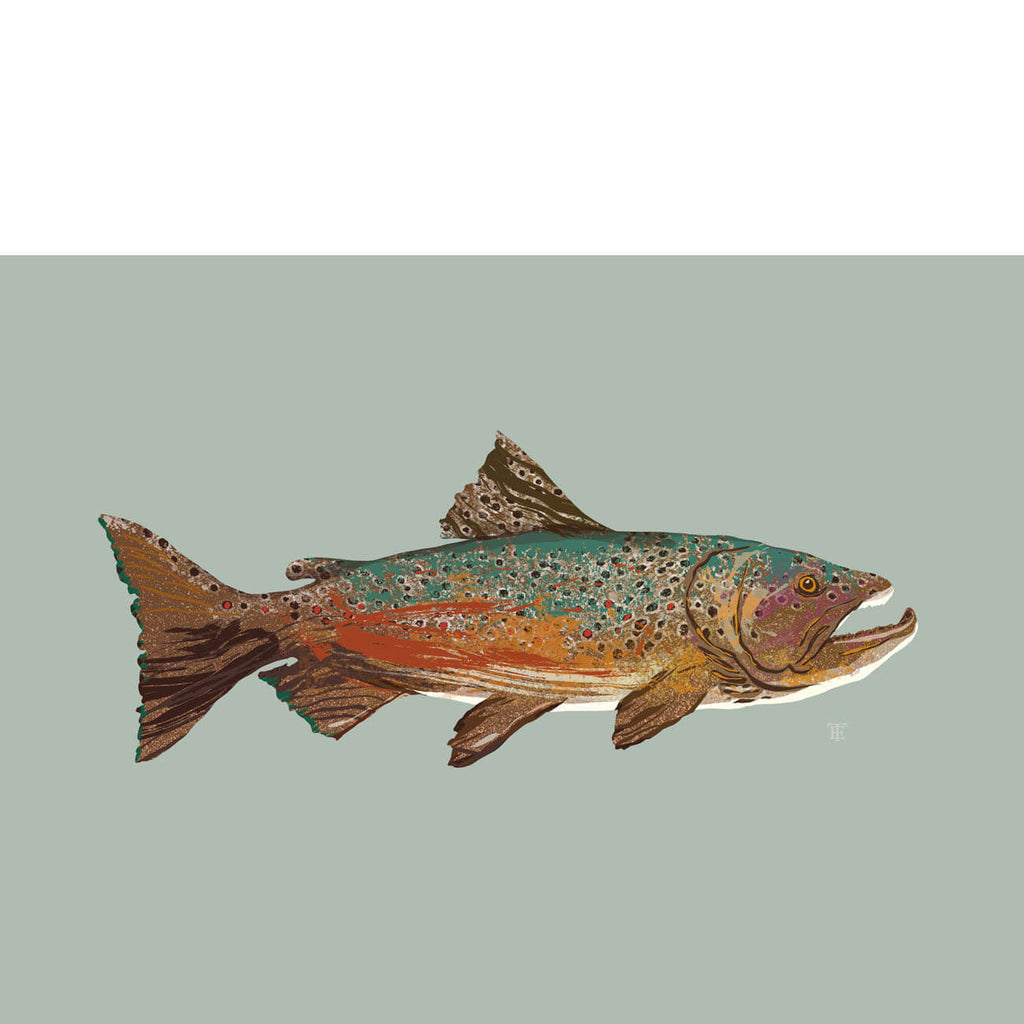 brown trout artwork on a light grayish green background
