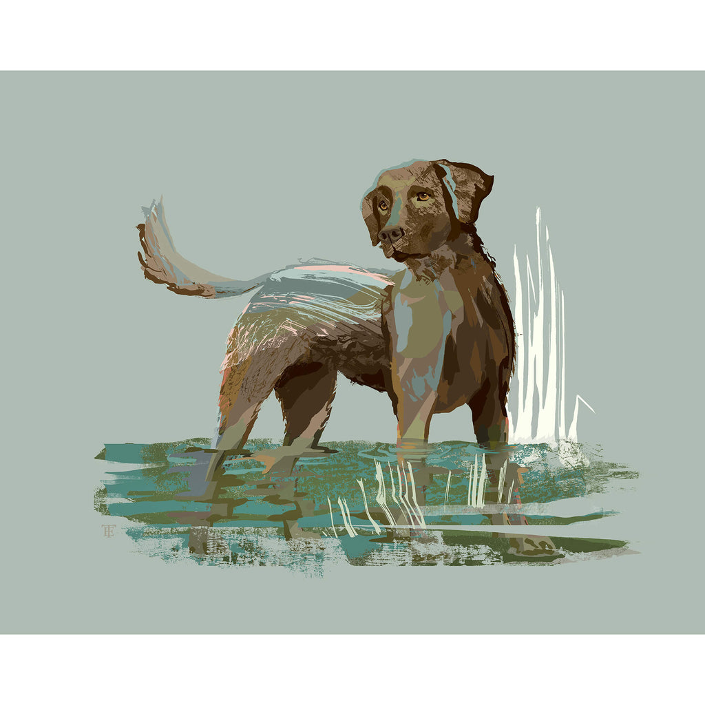 chocolate Labrador retriever drawing in a modern style on a light gray-green background