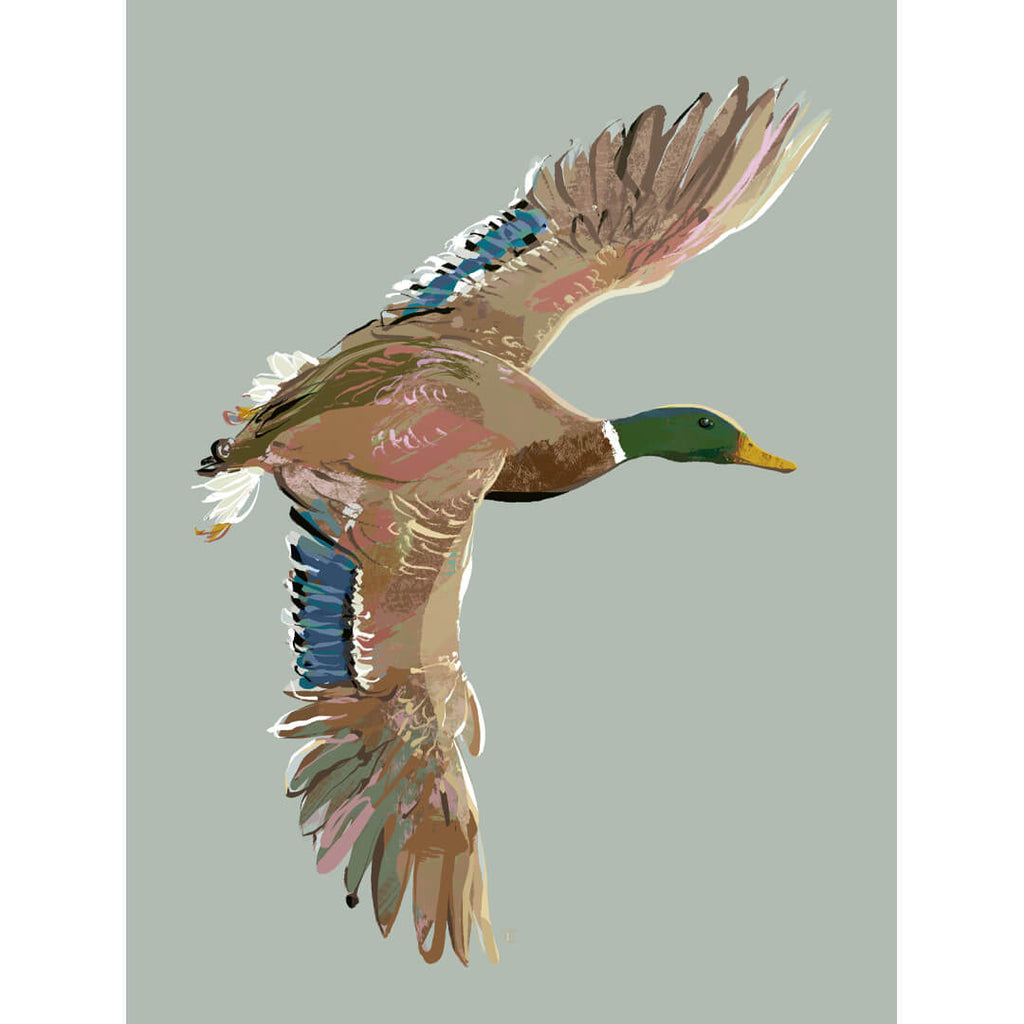 modern mallard duck artwork