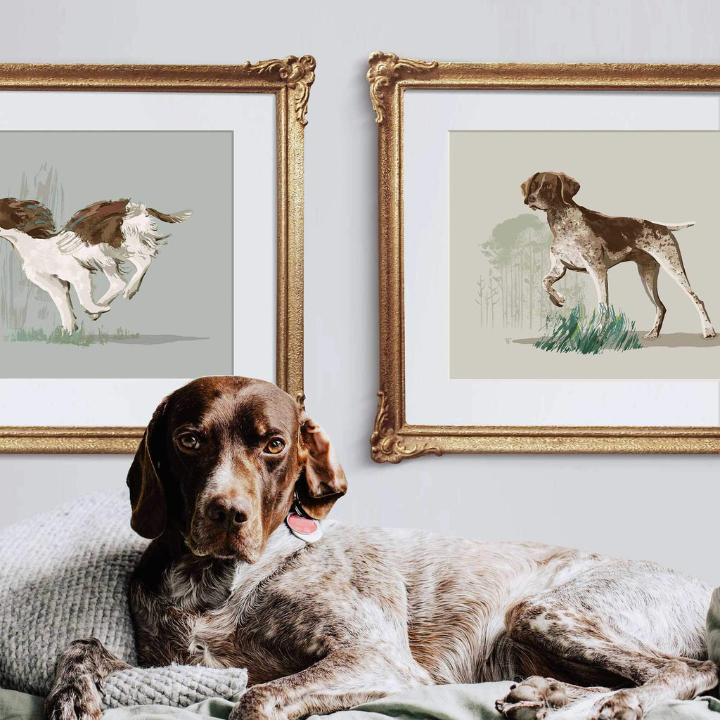 german shorthaired pointer dog sitting in front of framed gsp art