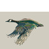 modern canada goose waterfowl print