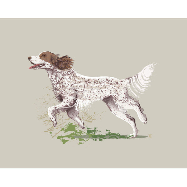 english setter Llewellin drawing, the dog is in a running pose against a beige background