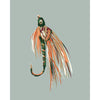 fly fishing fly art in a modern style on a light gray green background