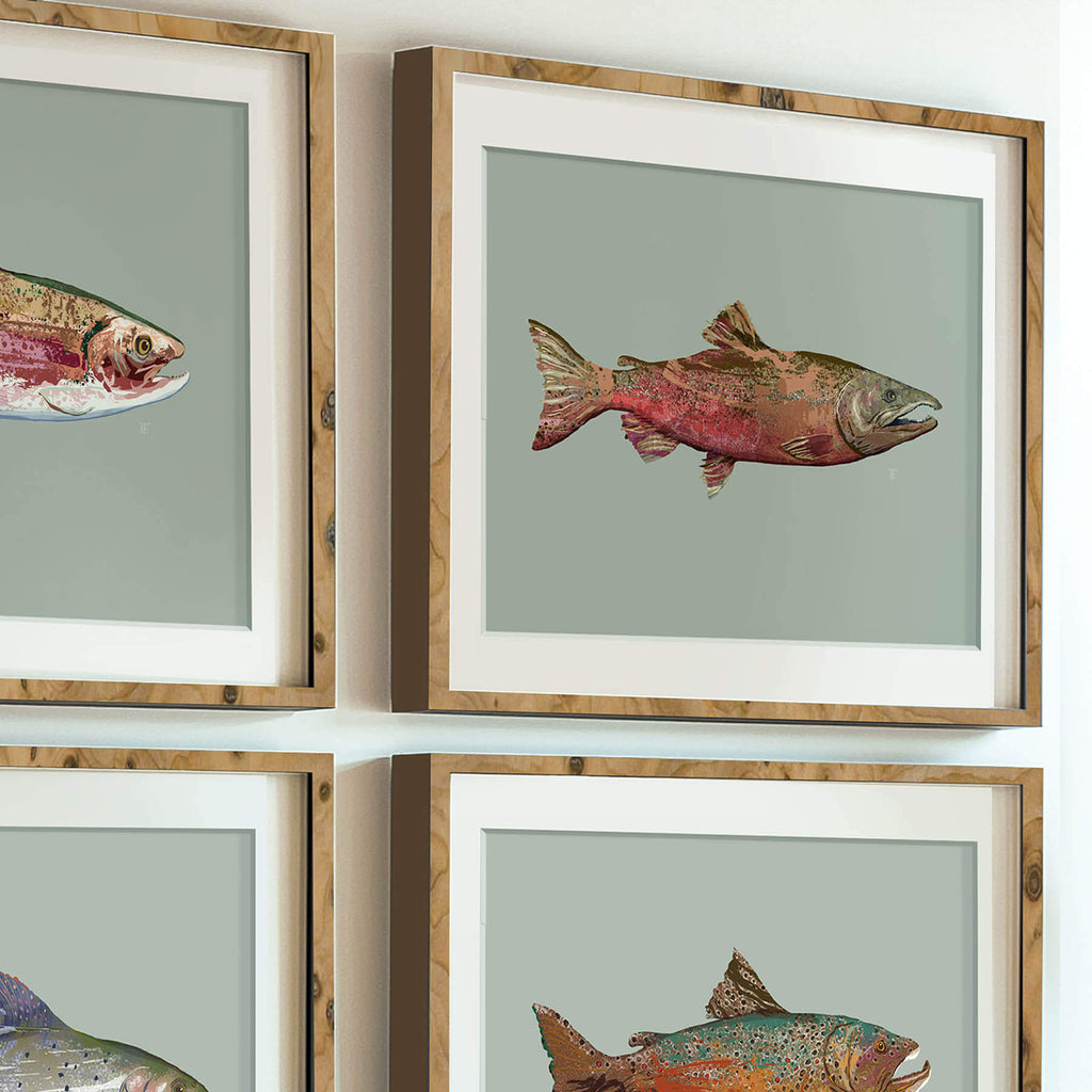 framed watercolor of a king salmon, as part of a set of four prints