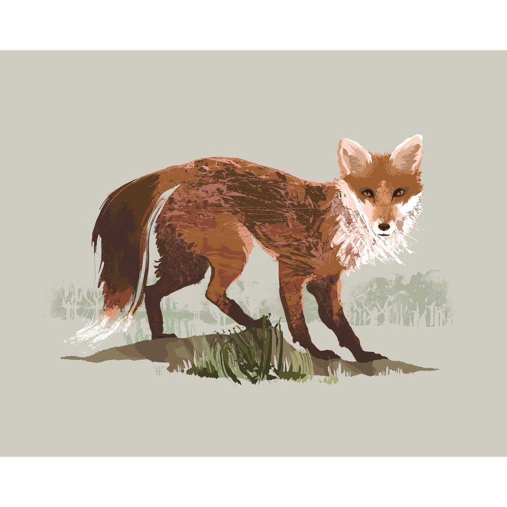 fox drawing in a modern style and muted earth tones on a solid beige background. the fox stares at the viewer.