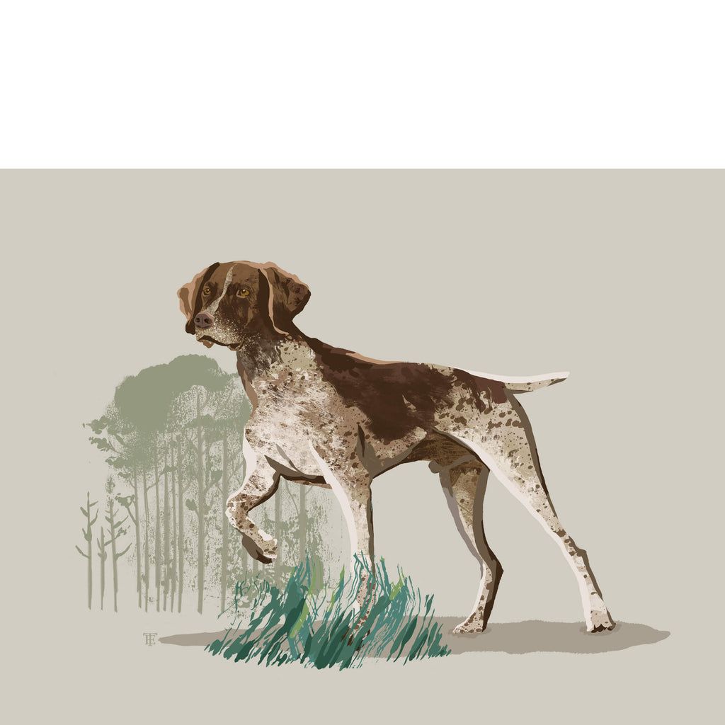 german shorthaired pointer art in a contemporary style
