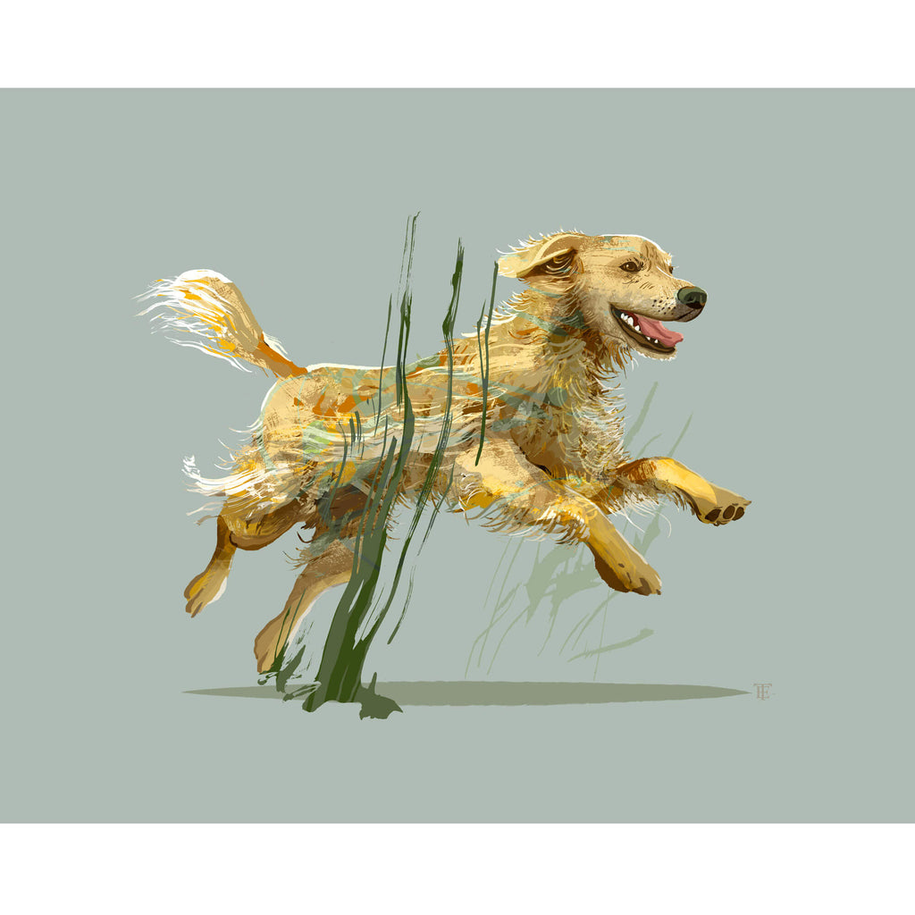 modern drawing of a golden retriever against a sage green background