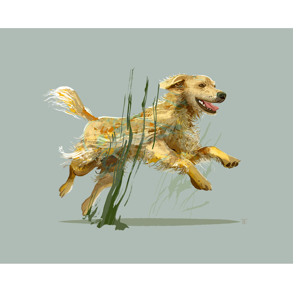 modern drawing of a golden retriever against a sage green background