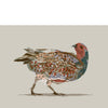 grey partridge ainting print in muted colors
