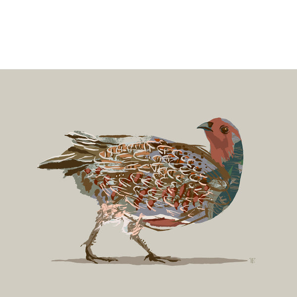 grey partridge ainting print in muted colors
