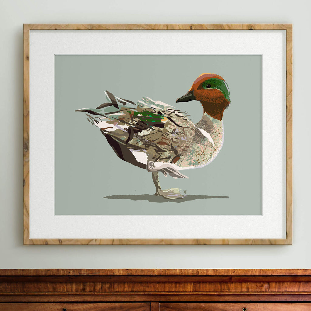 framed greenwing teal print