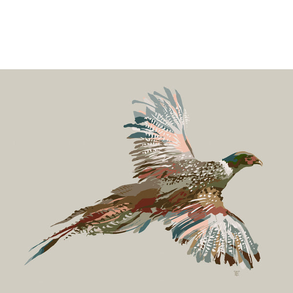 pheasant drawing on a tan background
