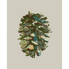 pine cone drawing in a muted green color palette executed in a modern style