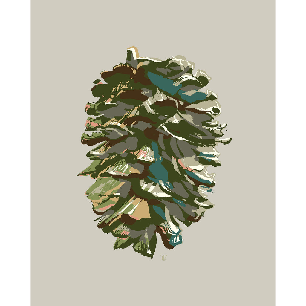 pine cone drawing in a muted green color palette executed in a modern style