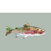 rainbow trout art in a contemporary style on a pale gray-green background