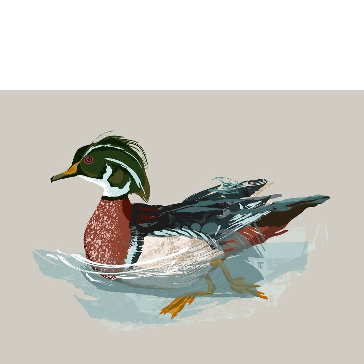 Wood Duck | Duck Hunting Paintings by Elise Thomason – Elise