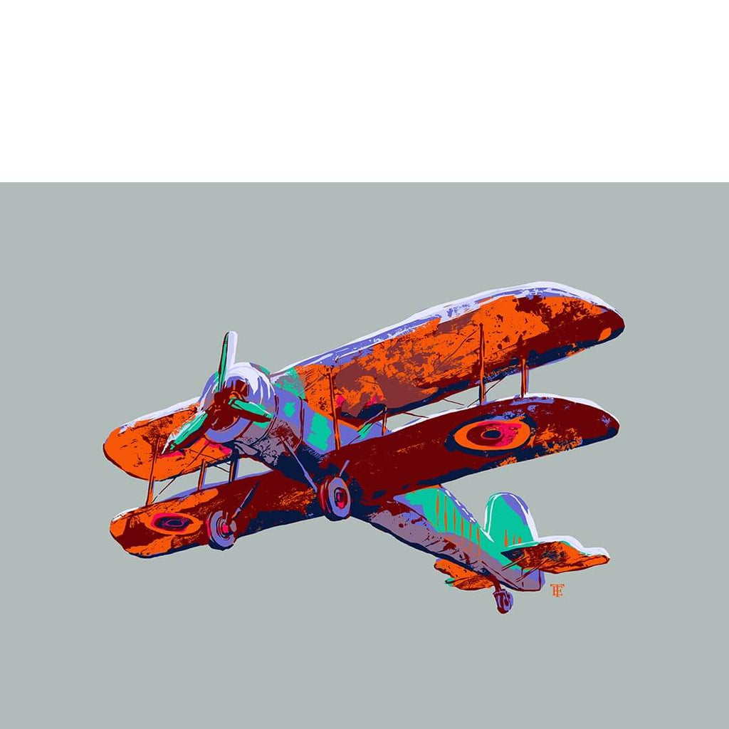 colorful biplane art print 