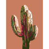modern saguaro cactus in pinks