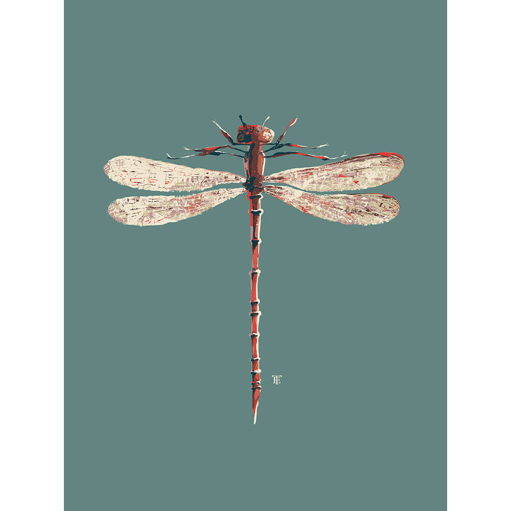 modern dragonfly art print in grayish blues
