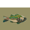 modern bass fish art print in earth tones