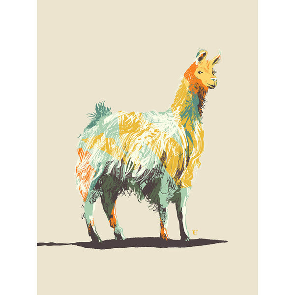 modern llama art print in funky colors