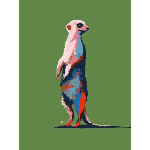 modern meerkat art print in bright green, blue, and red