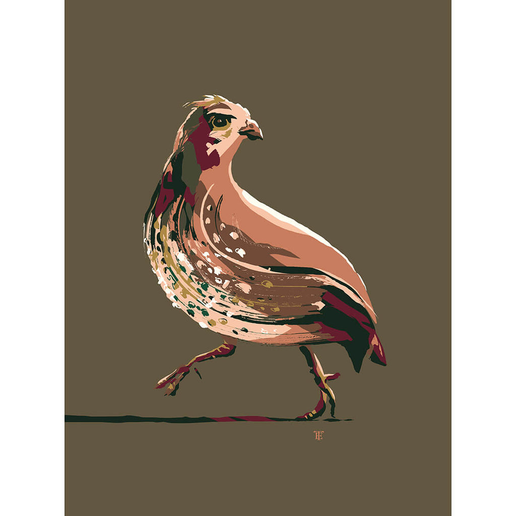 modern bobwhite quail art print