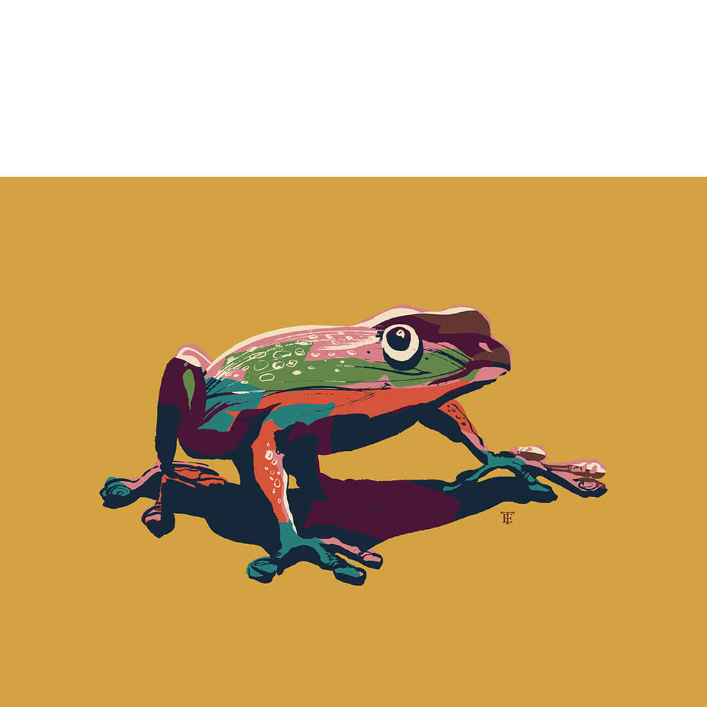funky stylish tree frog art print - colorful