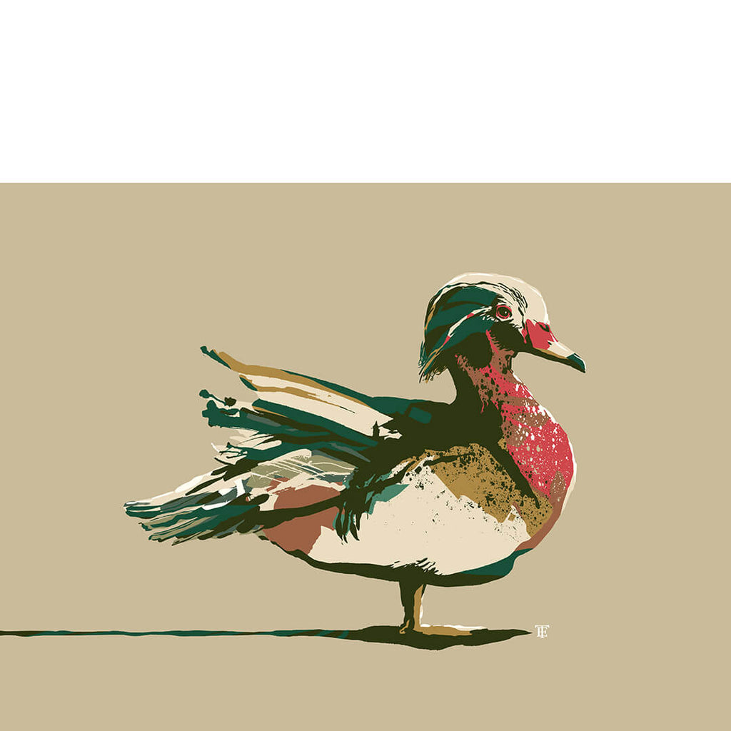 wood duck painting